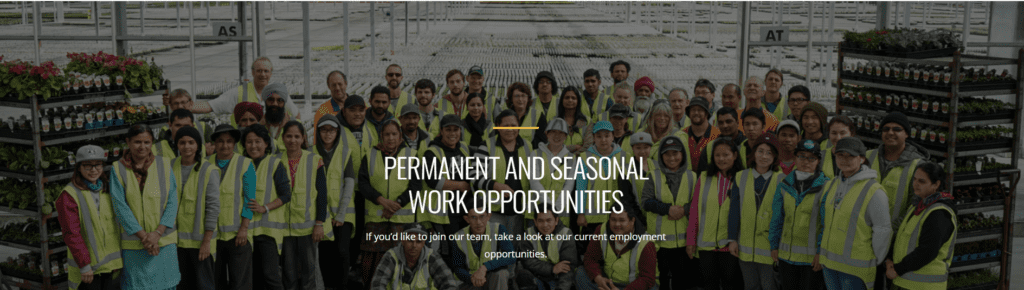 Nursery Worker New Zealand Hiring