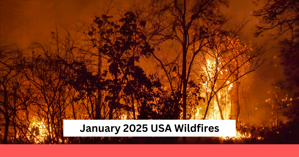 January 2025 USA Wildfires