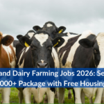 Get hired for NZ Dairy Farming jobs in 2026. Earn $60k+, get free housing, and secure your future. Apply via the direct FRENZ link in 5 min